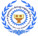 11 mlvt