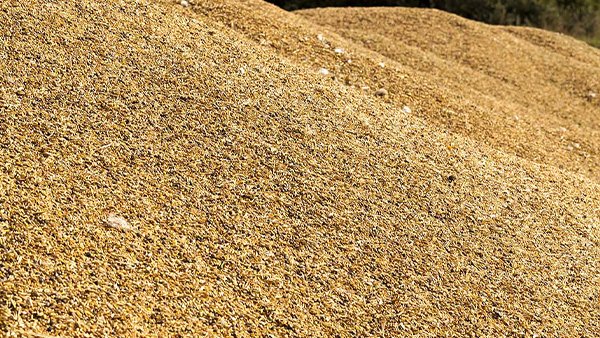 animal feed