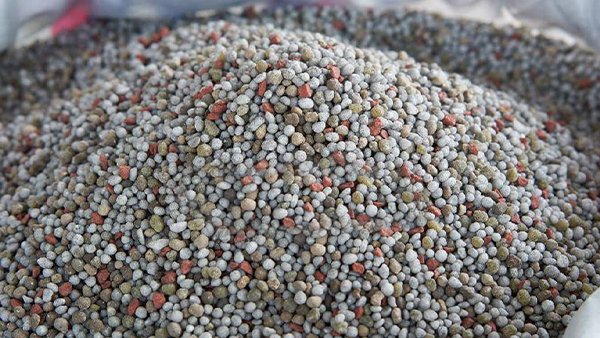 inorganic fertilizers